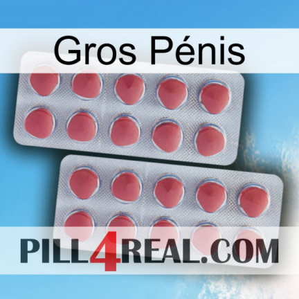 Gros Pénis 19